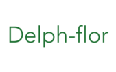Delph flor